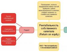 What is return on equity expressed in?