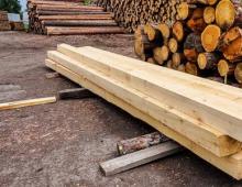 How to open a sawmill from scratch Sawmill open a business