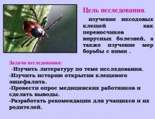 Опасные насекомые - иксодовые клещи Презентация на тему клещи