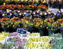 Detaljert forretningsplan for blomsterbutikk Hvordan starte en blomsterbedrift med minimal investering