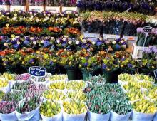 Hvordan åpne en blomsterbedrift og er det lønnsomt